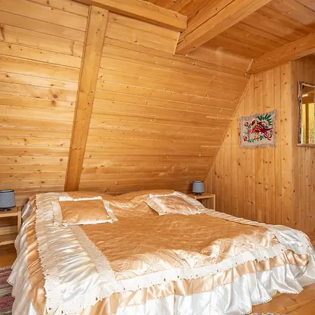 Pokoje Pod Strzecha Pajakowka Homestay *